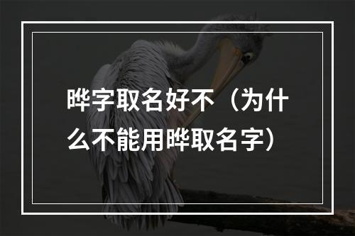 晔字取名好不（为什么不能用晔取名字）
