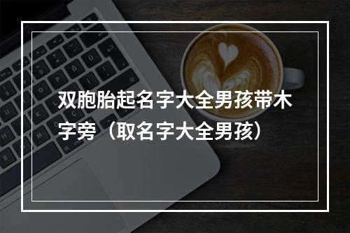 双胞胎起名字大全男孩带木字旁（取名字大全男孩）