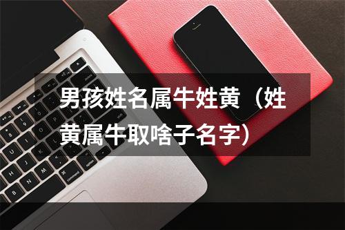 男孩姓名属牛姓黄（姓黄属牛取啥子名字）