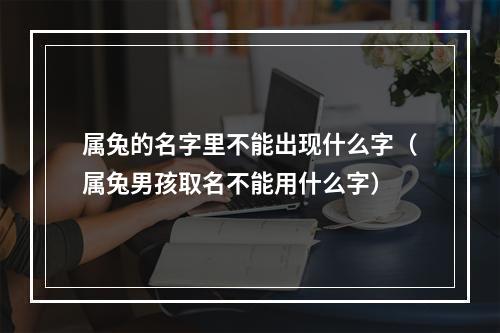 属兔的名字里不能出现什么字（属兔男孩取名不能用什么字）