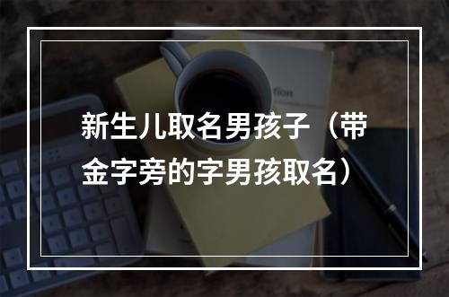 新生儿取名男孩子（带金字旁的字男孩取名）