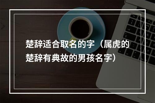 楚辞适合取名的字（属虎的楚辞有典故的男孩名字）