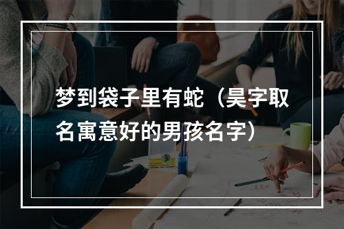 梦到袋子里有蛇（昊字取名寓意好的男孩名字）