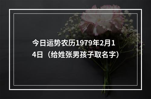 今日运势农历1979年2月14日（给姓张男孩子取名字）