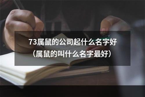 73属鼠的公司起什么名字好（属鼠的叫什么名字最好）