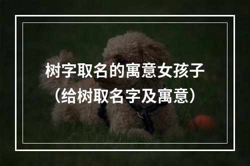 树字取名的寓意女孩子（给树取名字及寓意）