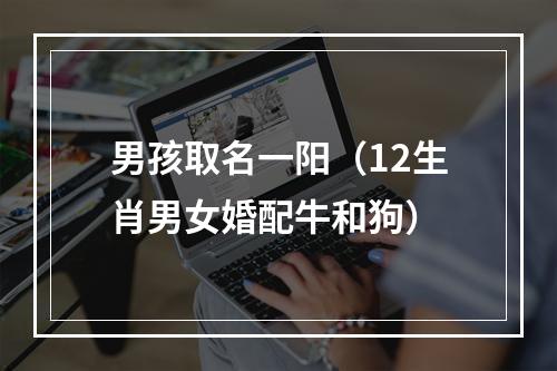 男孩取名一阳（12生肖男女婚配牛和狗）