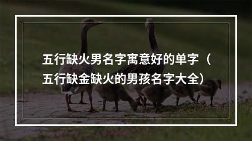 五行缺火男名字寓意好的单字（五行缺金缺火的男孩名字大全）