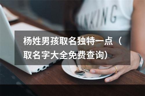 杨姓男孩取名独特一点（取名字大全免费查询）