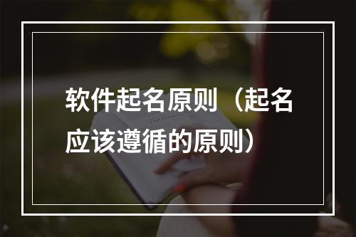 软件起名原则（起名应该遵循的原则）