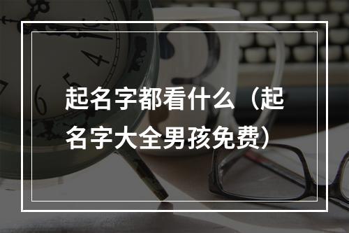 起名字都看什么（起名字大全男孩免费）