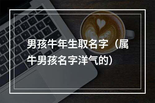 男孩牛年生取名字（属牛男孩名字洋气的）