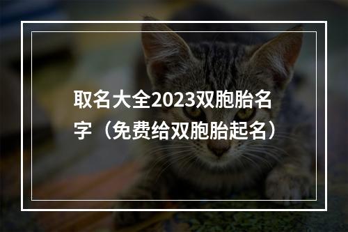 取名大全2023双胞胎名字（免费给双胞胎起名）