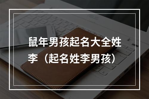 鼠年男孩起名大全姓李（起名姓李男孩）