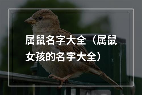 属鼠名字大全（属鼠女孩的名字大全）
