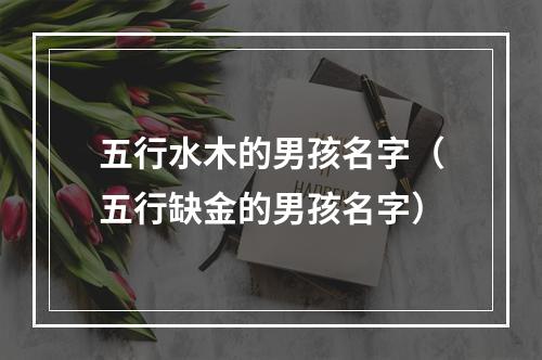 五行水木的男孩名字（五行缺金的男孩名字）