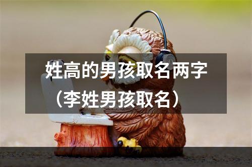 姓高的男孩取名两字（李姓男孩取名）