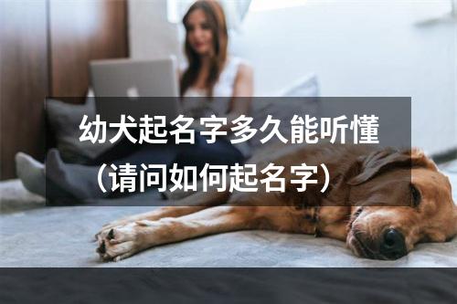 幼犬起名字多久能听懂（请问如何起名字）