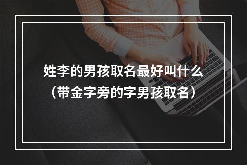 姓李的男孩取名最好叫什么（带金字旁的字男孩取名）