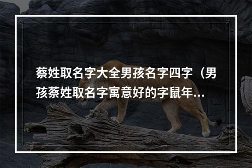 蔡姓取名字大全男孩名字四字（男孩蔡姓取名字寓意好的字鼠年）
