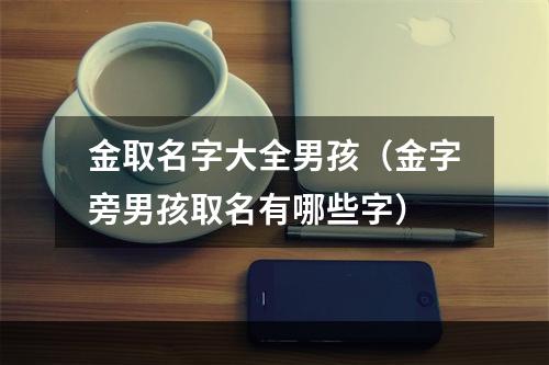 金取名字大全男孩（金字旁男孩取名有哪些字）