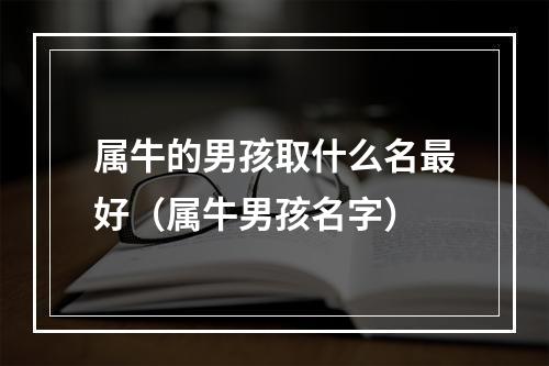 属牛的男孩取什么名最好（属牛男孩名字）