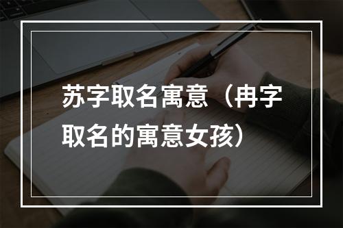 苏字取名寓意（冉字取名的寓意女孩）