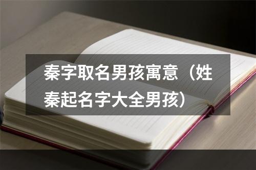 秦字取名男孩寓意（姓秦起名字大全男孩）