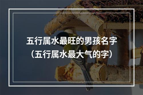 五行属水最旺的男孩名字（五行属水最大气的字）