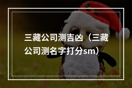 三藏公司测吉凶（三藏公司测名字打分sm）