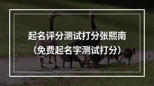 起名评分测试打分张熙南（免费起名字测试打分）