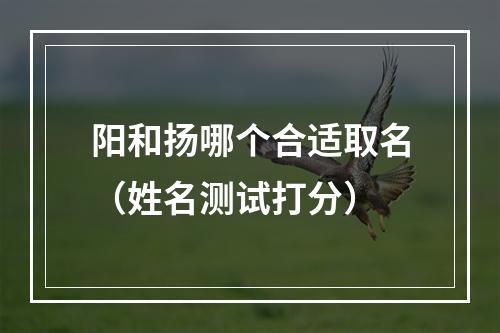 阳和扬哪个合适取名（姓名测试打分）