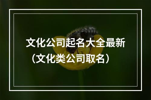 文化公司起名大全最新（文化类公司取名）