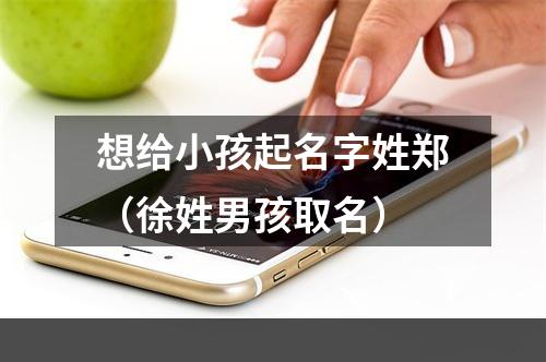 想给小孩起名字姓郑（徐姓男孩取名）