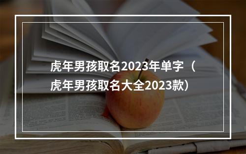 虎年男孩取名2023年单字（虎年男孩取名大全2023款）