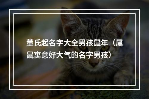 董氏起名字大全男孩鼠年（属鼠寓意好大气的名字男孩）