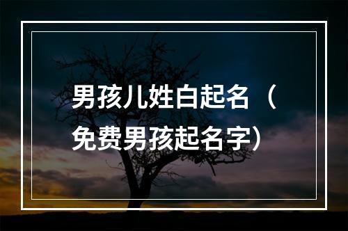男孩儿姓白起名（免费男孩起名字）