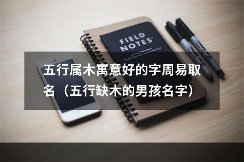 五行属木寓意好的字周易取名（五行缺木的男孩名字）