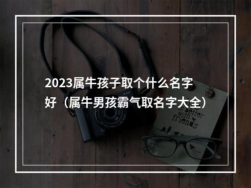 2023属牛孩子取个什么名字好（属牛男孩霸气取名字大全）