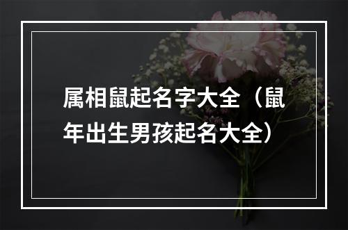 属相鼠起名字大全（鼠年出生男孩起名大全）