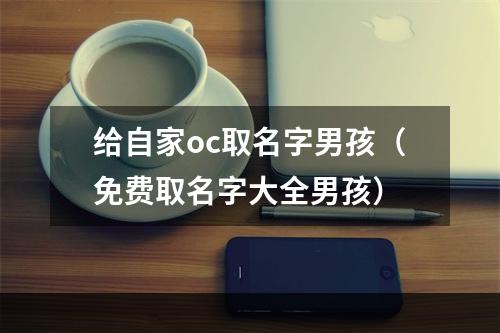 给自家oc取名字男孩（免费取名字大全男孩）