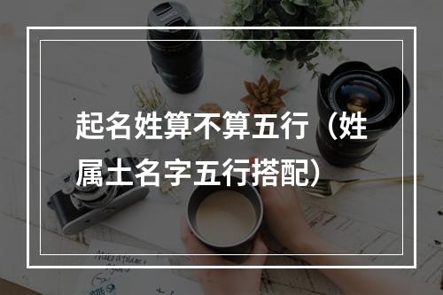 起名姓算不算五行（姓属土名字五行搭配）