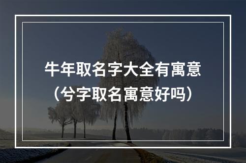 牛年取名字大全有寓意（兮字取名寓意好吗）