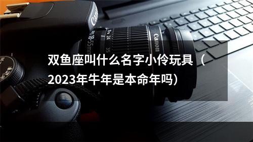 双鱼座叫什么名字小伶玩具（2023年牛年是本命年吗）