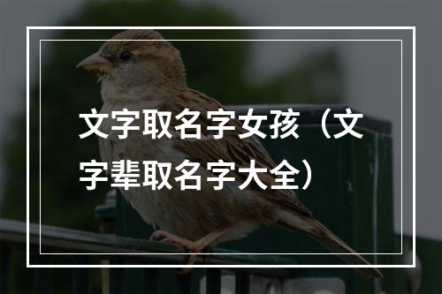 文字取名字女孩（文字辈取名字大全）