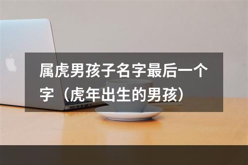 属虎男孩子名字最后一个字（虎年出生的男孩）