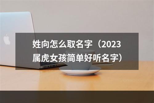 姓向怎么取名字（2023属虎女孩简单好听名字）