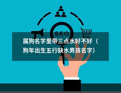 属狗名字里带三点水好不好（狗年出生五行缺水男孩名字）