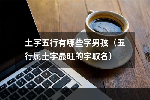 土字五行有哪些字男孩（五行属土字最旺的字取名）