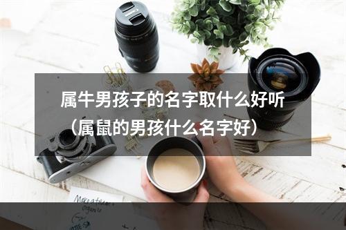 属牛男孩子的名字取什么好听（属鼠的男孩什么名字好）